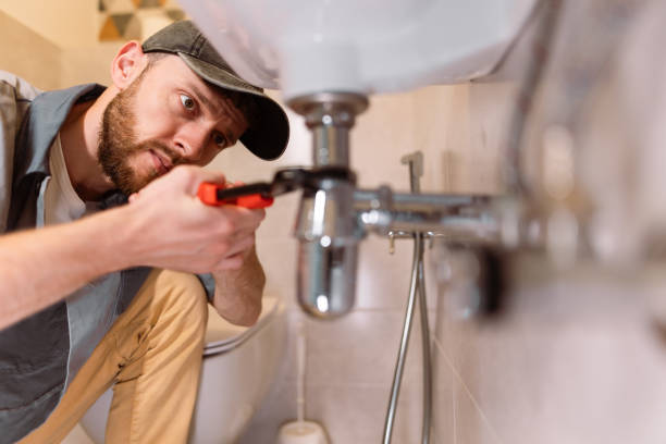 Best Garbage Disposal Repair and Installation  in Pevely, MO